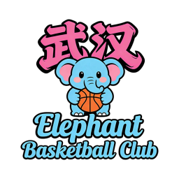 武汉大象篮球